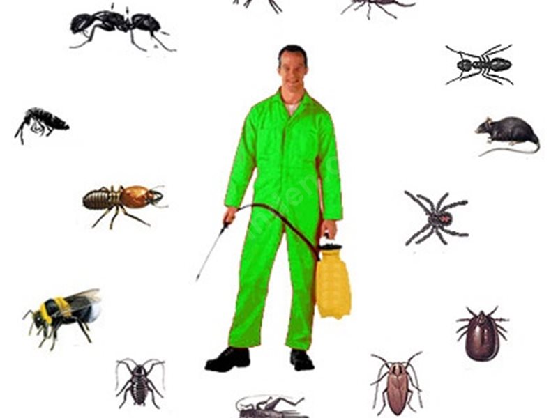 Pütürge Böcek İlaçlama