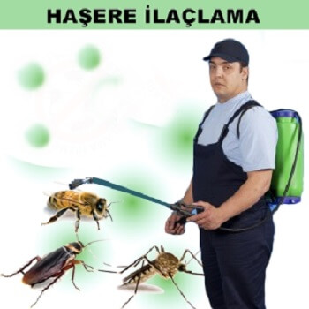 Pütürge Böcek İlaçlama